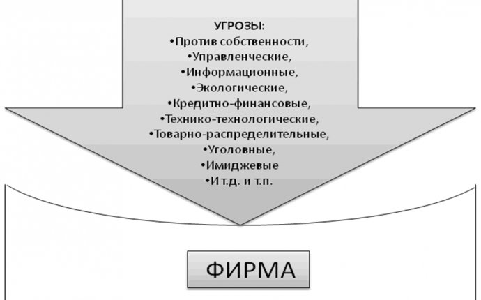 Колпаков П.А. Система экономической безопасности фирмы